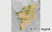 Satellite 3D Map of Tamil Nadu, lighten, desaturated