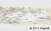 Classic Style Panoramic Map of Madurai