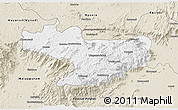 Classic Style 3D Map of Nilgiris