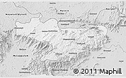 Silver Style 3D Map of Nilgiris