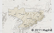 Shaded Relief Map of Nilgiris, lighten