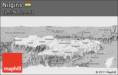 Gray Panoramic Map of Nilgiris
