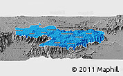 Political Panoramic Map of Nilgiris, desaturated