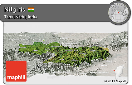 Satellite Panoramic Map of Nilgiris, lighten, semi-desaturated