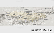 Shaded Relief Panoramic Map of Nilgiris, semi-desaturated