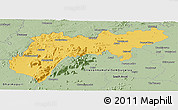 Savanna Style Panoramic Map of North Arcot (Ambedkar)