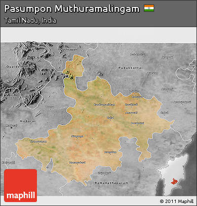 Satellite 3D Map of Pasumpon Muthuramalingam, desaturated
