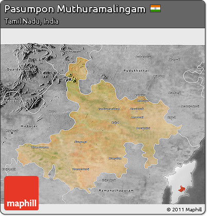 Satellite 3D Map of Pasumpon Muthuramalingam, desaturated