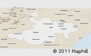 Classic Style Panoramic Map of Pasumpon Muthuramalingam