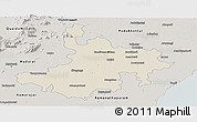 Shaded Relief Panoramic Map of Pasumpon Muthuramalingam, semi-desaturated