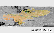 Satellite Panoramic Map of Tiruchchirappalli, desaturated
