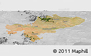 Satellite Panoramic Map of Tiruchchirappalli, lighten, desaturated