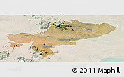 Satellite Panoramic Map of Tiruchchirappalli, lighten