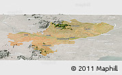 Satellite Panoramic Map of Tiruchchirappalli, lighten, semi-desaturated