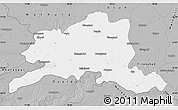Gray Map of Agra