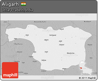 Gray 3D Map of Aligarh