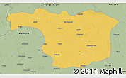 Savanna Style 3D Map of Aligarh