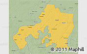 Savanna Style 3D Map of Jhansi