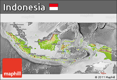 Physical 3D Map of Indonesia, desaturated