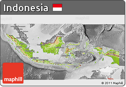 Physical 3D Map of Indonesia, desaturated