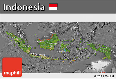 Satellite 3D Map of Indonesia, desaturated