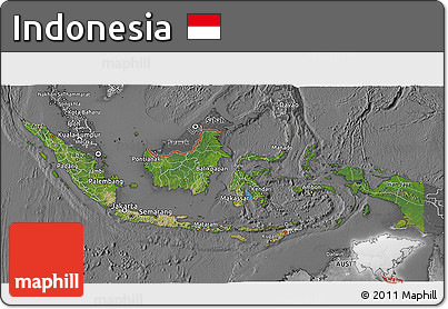 Satellite 3D Map of Indonesia, desaturated
