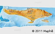 Political Shades Panoramic Map of Bali