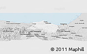 Silver Style Panoramic Map of Kab. Batang