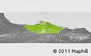 Physical Panoramic Map of Kab. Rembang, desaturated