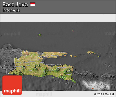 Satellite 3D Map of East Java, darken, desaturated