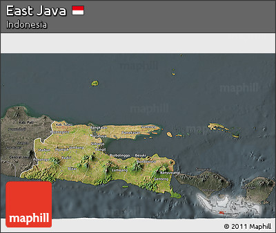 Satellite 3D Map of East Java, darken, semi-desaturated