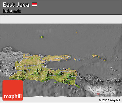 Satellite 3D Map of East Java, desaturated