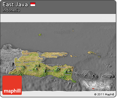 Satellite 3D Map of East Java, desaturated