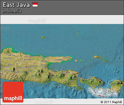 Satellite 3D Map of East Java