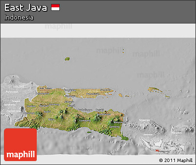Satellite 3D Map of East Java, lighten, desaturated