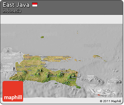 Satellite 3D Map of East Java, lighten, desaturated