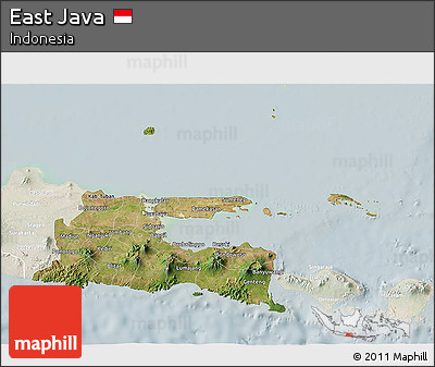 Satellite 3D Map of East Java, lighten