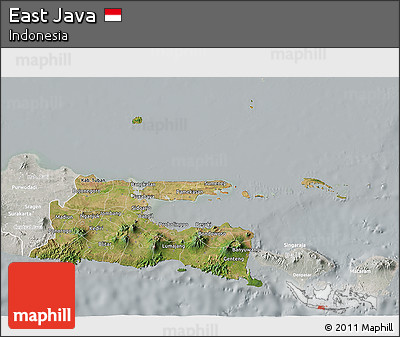 Satellite 3D Map of East Java, lighten, semi-desaturated