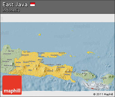Savanna Style 3D Map of East Java