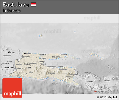 Shaded Relief 3D Map of East Java, desaturated