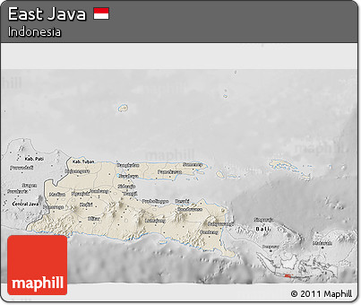 Shaded Relief 3D Map of East Java, desaturated