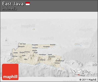 Shaded Relief 3D Map of East Java, lighten, desaturated