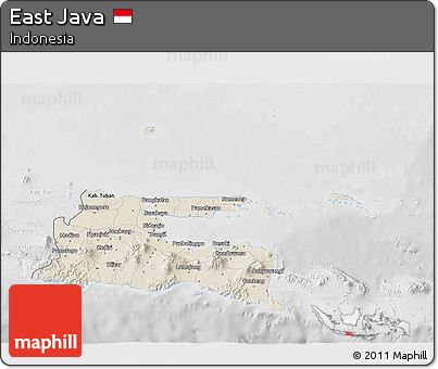 Shaded Relief 3D Map of East Java, lighten, desaturated