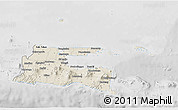 Shaded Relief 3D Map of East Java, lighten, desaturated