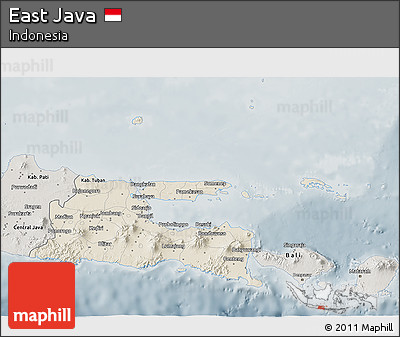Shaded Relief 3D Map of East Java, semi-desaturated