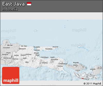 Silver Style 3D Map of East Java