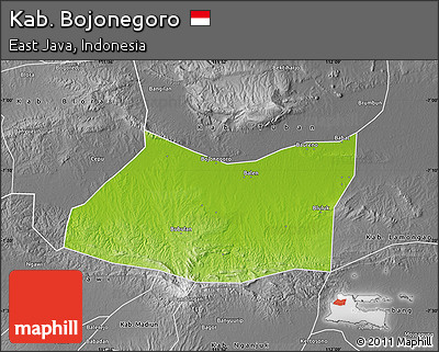 Physical Map of Kab. Bojonegoro, desaturated