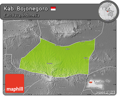Physical Map of Kab. Bojonegoro, desaturated
