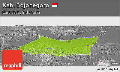Physical Panoramic Map of Kab. Bojonegoro, desaturated