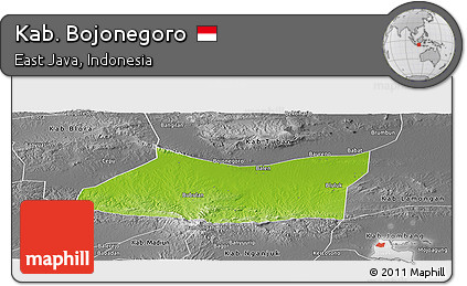 Physical Panoramic Map of Kab. Bojonegoro, desaturated